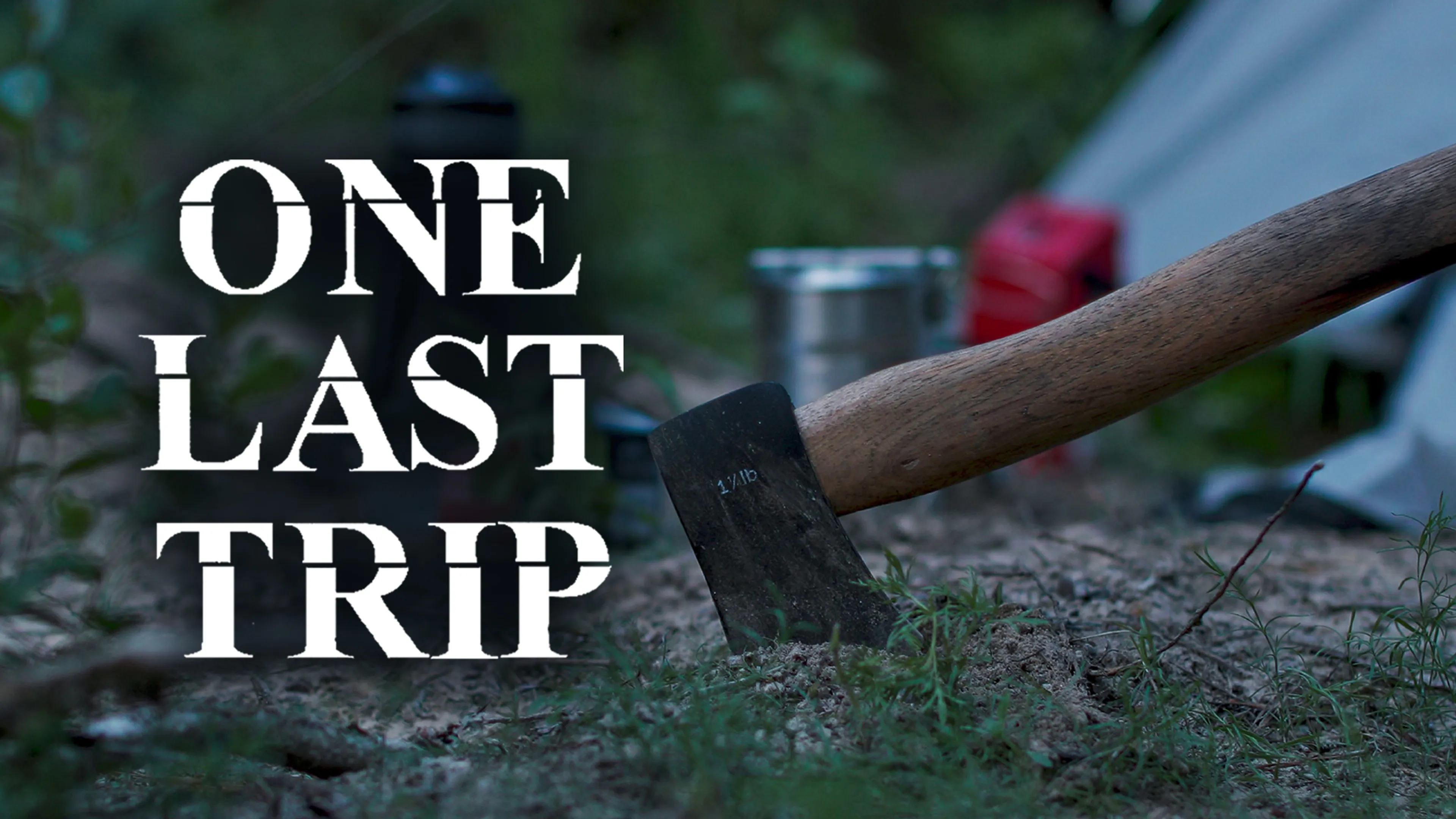 One Last Trip poster